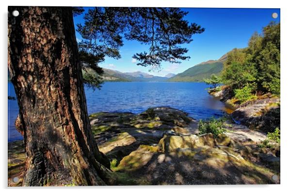 Loch Lomond towards Ben Lomond Acrylic by Philip Hawkins