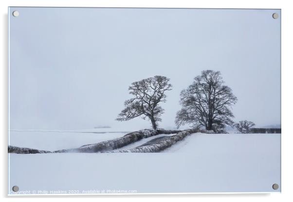 The Trows trees in snow Acrylic by Philip Hawkins