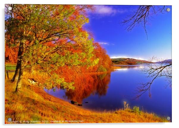 Autumn colours at Loch Rannoch Acrylic by Philip Hawkins