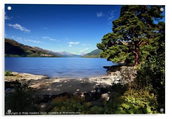 Loch Lomond towards Ben Lomond Acrylic by Philip Hawkins