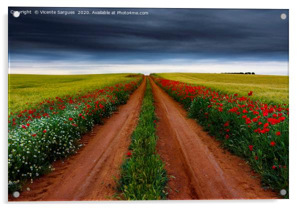 Path between flowers and fields Acrylic by Vicente Sargues