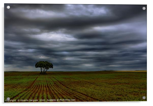 Field and storm Acrylic by Vicente Sargues