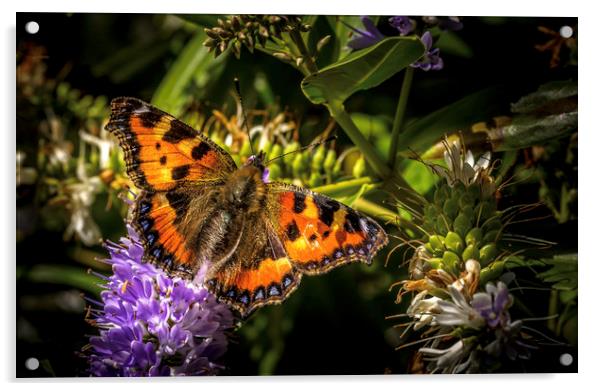 The Majestic Small Tortoiseshell Acrylic by Don Nealon