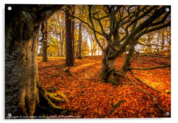 Enchanted Path Through a Colourful Autumn Forest Acrylic by Don Nealon