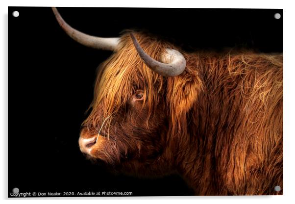Majestic Rustic Highland Cattle Acrylic by Don Nealon