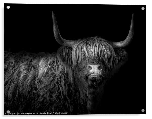 Highland fringe Acrylic by Don Nealon