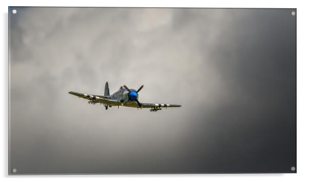 The Hawker Sea Fury Acrylic by Pete Evans