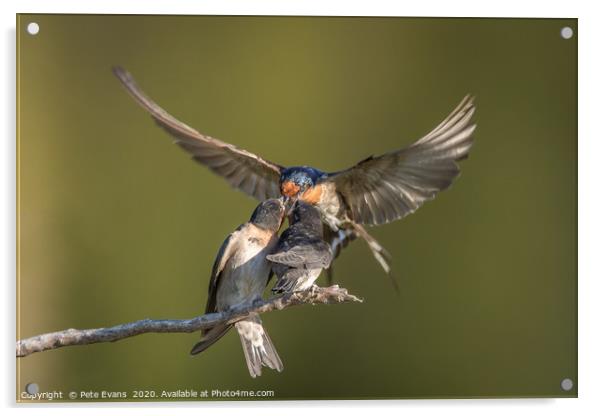 In Flight refuelling Acrylic by Pete Evans