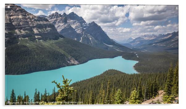 Peyto Lake Acrylic by Pete Evans