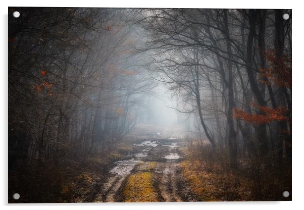 Road in a oak forest Acrylic by Arpad Radoczy