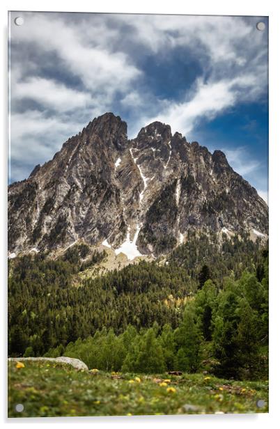 National Park of the Spanish Pyrenees mountain in  Acrylic by Arpad Radoczy