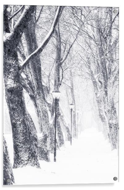 Tree alley in a snowy day Acrylic by Arpad Radoczy