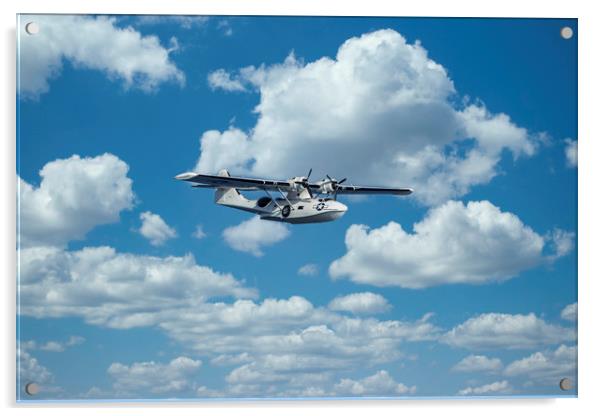 Nice seaplane airplane in the sky Acrylic by Arpad Radoczy