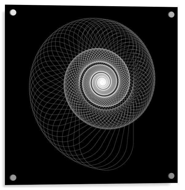 Snail shape white vector image on black background. Acrylic by Arpad Radoczy