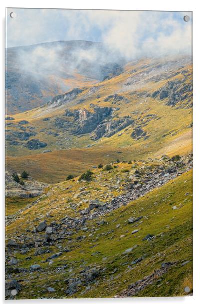 Nice valley from Spain, mountain Pyrenees (named Valley Nuria) Acrylic by Arpad Radoczy