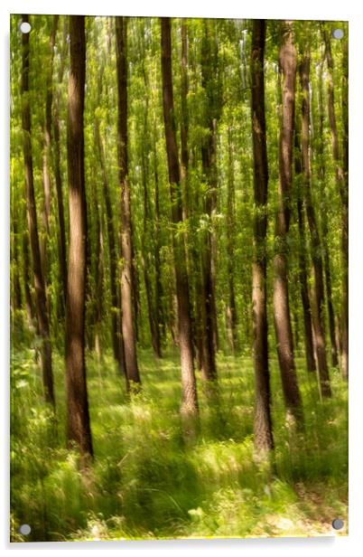 Blurred forest Acrylic by Arpad Radoczy