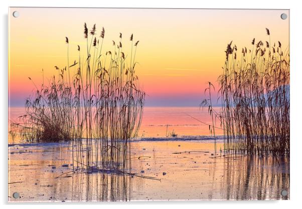 Winter sunset over the lake Balaton of Hungary Acrylic by Arpad Radoczy
