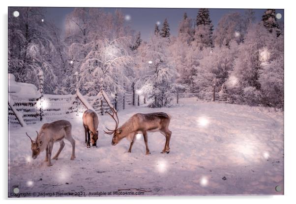 Reindeers in Lapland Acrylic by Jadwiga Piasecka