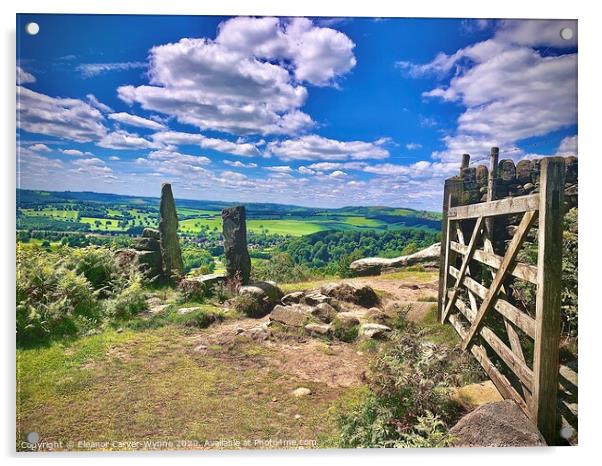 Countryside Views Acrylic by Eleanor  Carver-Wynne