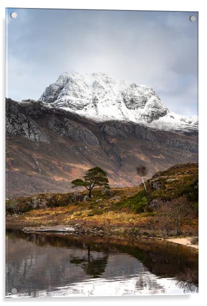 Slioch, Scots pine and Birch Acrylic by Chris Lauder