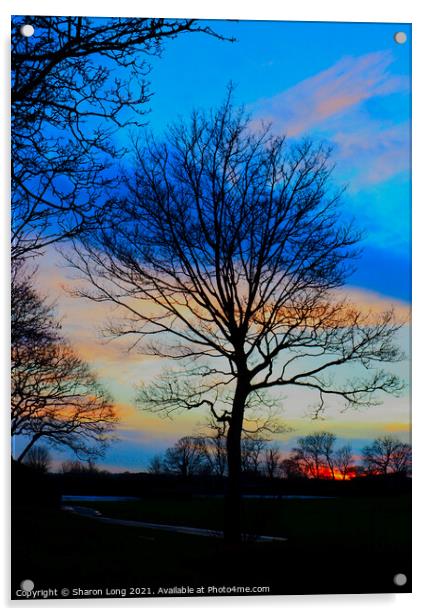 Sunset Sky Over Central Park Acrylic by Photography by Sharon Long 