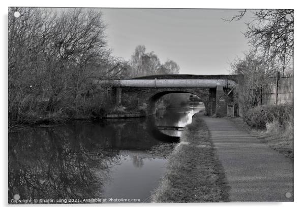 Walks along the Shropshire Union Canal Acrylic by Photography by Sharon Long 