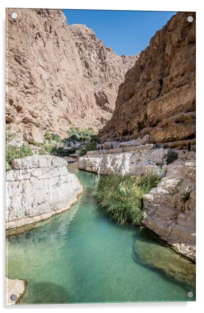 River of Wadi shab, Oman Acrylic by David GABIS
