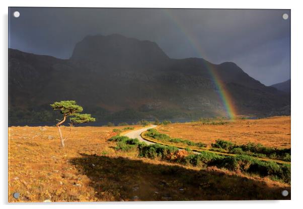 Rainbow over Slioch from Loch Maree in Scotland Acrylic by MIKE HUTTON