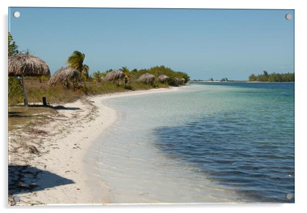 sandy beach with white sand in front of the ocean Acrylic by Alessandro Della Torre