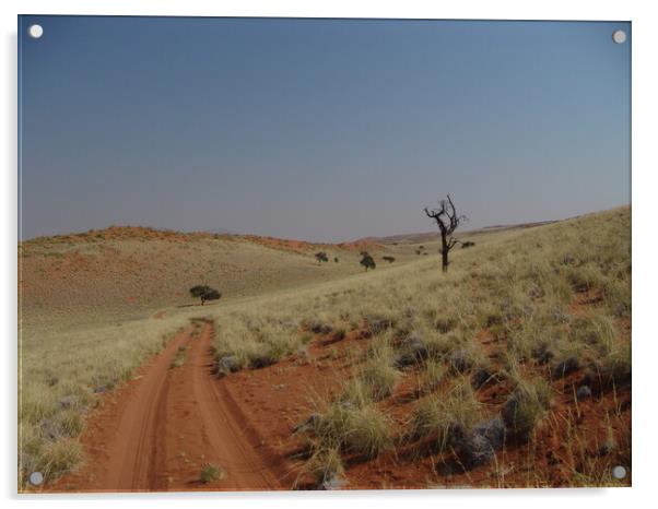 Namibia red sand desert country grass field Acrylic by Alessandro Della Torre