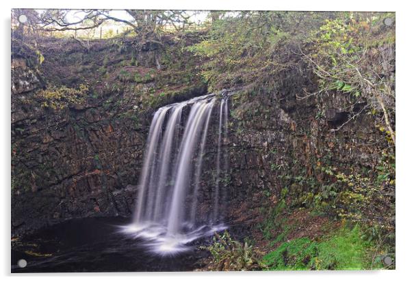 Dalcairney waterfall Dalmellington East Ayrshire Acrylic by Allan Durward Photography