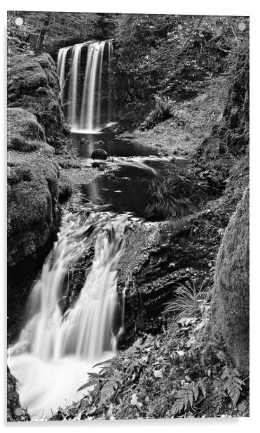 Dalcairney falls, Dalmellington, East Ayrshire Acrylic by Allan Durward Photography