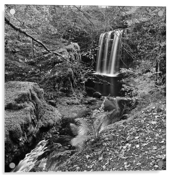Dalcairney falls, East Ayrshire (black&white Acrylic by Allan Durward Photography