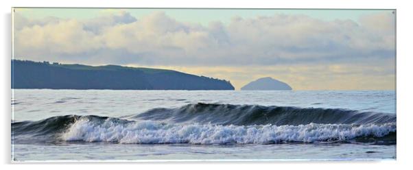 A wave from Ayr Acrylic by Allan Durward Photography