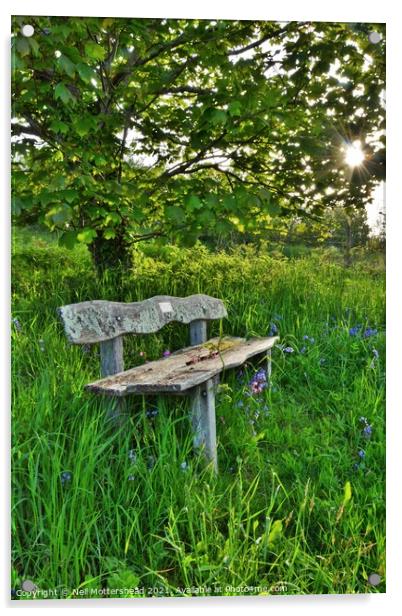 Bluebell Bench, Trenant Woods, Cornwall. Acrylic by Neil Mottershead