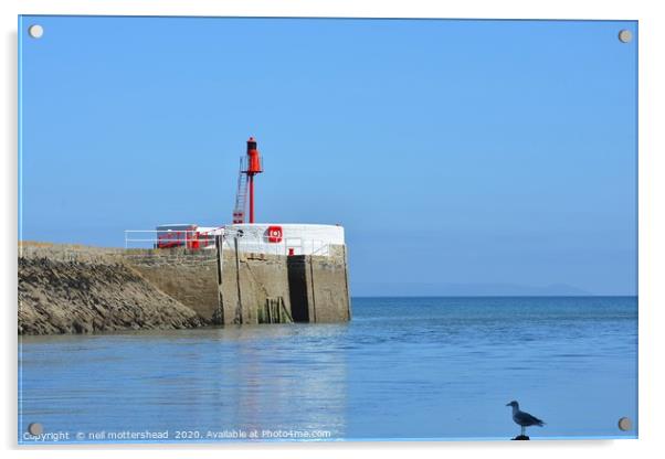A Seagull Surveys The Banjo Pier At Looe Acrylic by Neil Mottershead