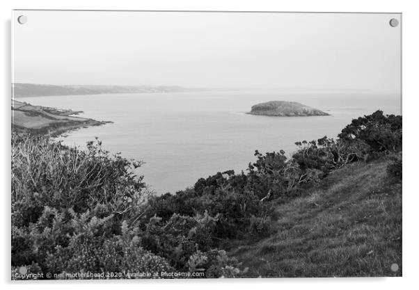 St George's Island, Looe Bay Acrylic by Neil Mottershead