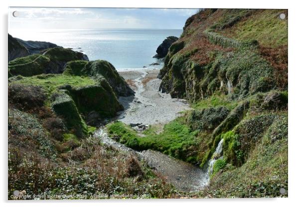 Parson's Cove, Lansallos, Cornwall Acrylic by Neil Mottershead