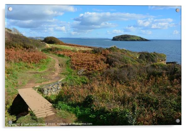 Looe Island From The South West Coast Path. Acrylic by Neil Mottershead