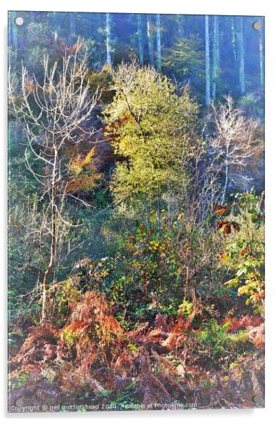 Cornish Autumn Colours, Acrylic by Neil Mottershead