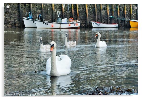 Swans On The Looe River. Acrylic by Neil Mottershead