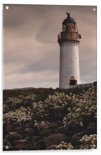 Tobermory Lighthouse Acrylic by Gavin Liddle