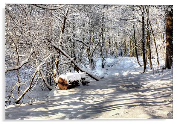 Snowy Woods Acrylic by Gavin Liddle