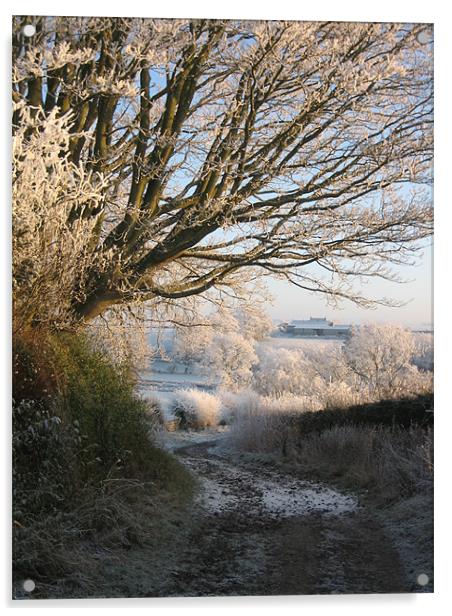 Frosty Tree  Acrylic by Lorna Nisbet