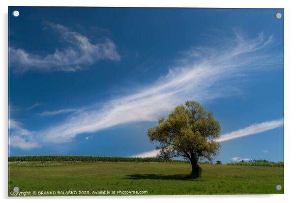 A large green field under a cloudy blue sky Acrylic by BRANKO BALAŠKO