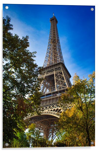 The Majestic Eiffel Tower Acrylic by Jesus Martínez