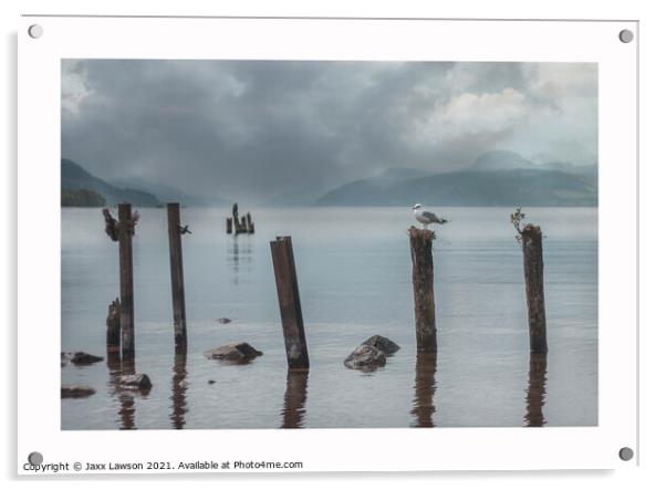 Gull on a post, Loch Ness Acrylic by Jaxx Lawson