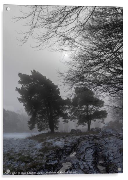 Misty Winter Morning Acrylic by Jaxx Lawson