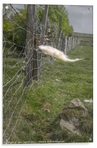 Fleece on a fence in Coverdale Acrylic by Jaxx Lawson