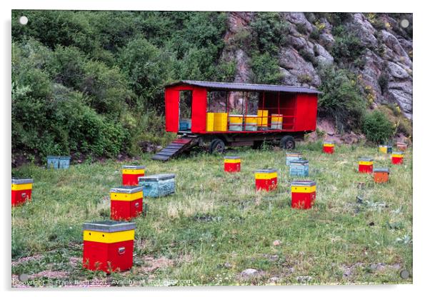 A beautiful shot of red and yellow hive boxes in a mountain Acrylic by Frank Bach